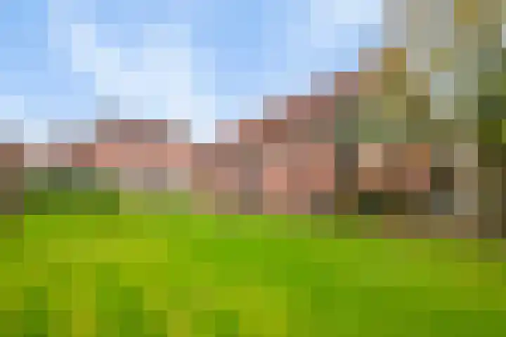 Nieuwstraat 12 Koewacht thumbnail 31