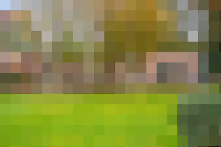 Nieuwstraat 12 Koewacht thumbnail 32