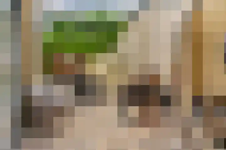 Nieuwstraat 12 Koewacht thumbnail 35