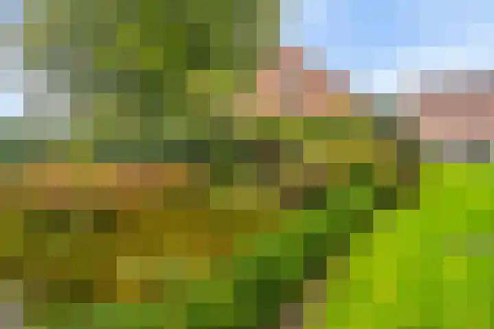 Nieuwstraat 12 Koewacht thumbnail 39