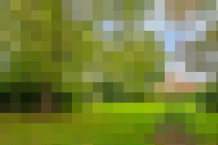 Nieuwstraat 12 Koewacht thumbnail 40