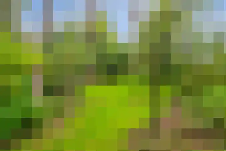 Nieuwstraat 12 Koewacht thumbnail 41