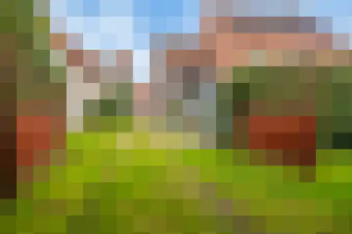 Nieuwstraat 12 Koewacht thumbnail 44