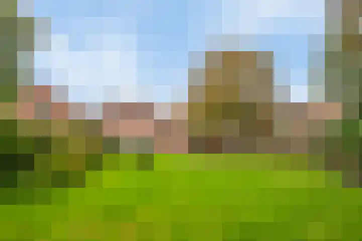 Nieuwstraat 12 Koewacht thumbnail 47