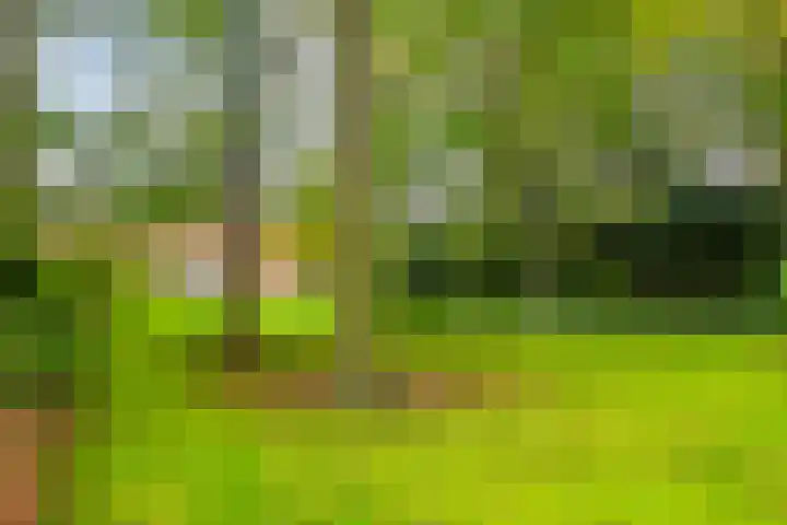 Nieuwstraat 12 Koewacht thumbnail 5