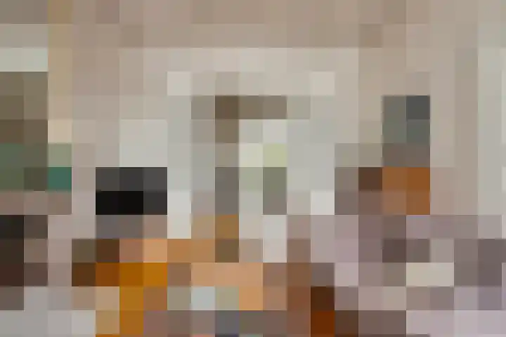 Nieuwstraat 12 Koewacht thumbnail 7