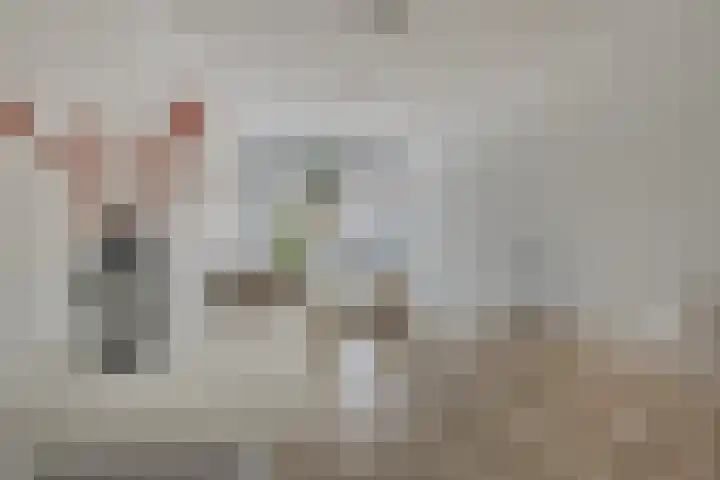 Nieuwstraat 12 Purmerend thumbnail 10