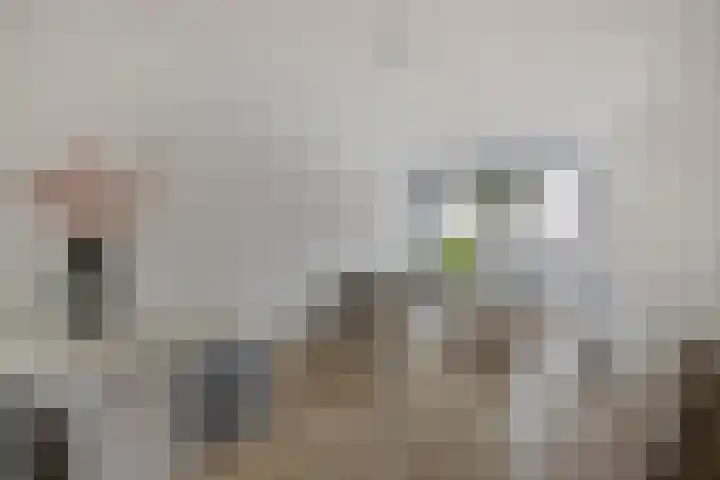 Nieuwstraat 12 Purmerend thumbnail 11