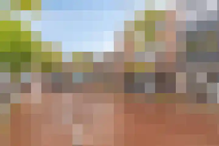 Nieuwstraat 12 Purmerend thumbnail 17