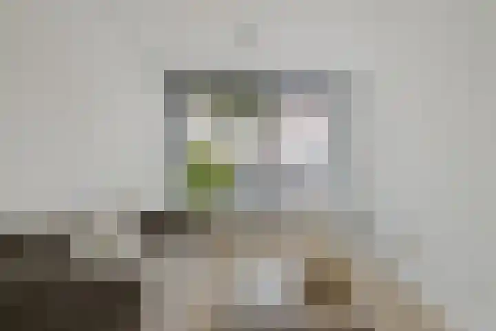 Nieuwstraat 12 Purmerend thumbnail 5