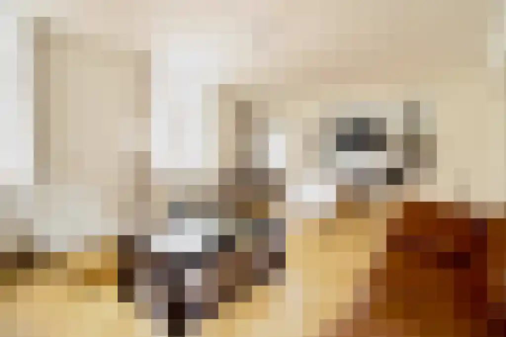 Nieuwstraat 12 Vlissingen thumbnail 4