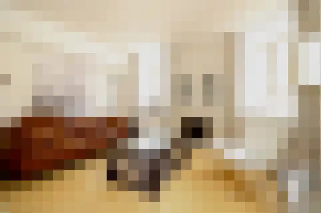 Nieuwstraat 12 Vlissingen thumbnail 5