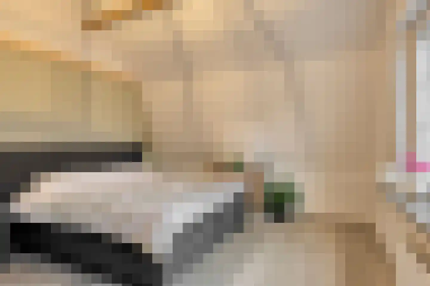 Nieuwstraat 126 Koewacht thumbnail 16