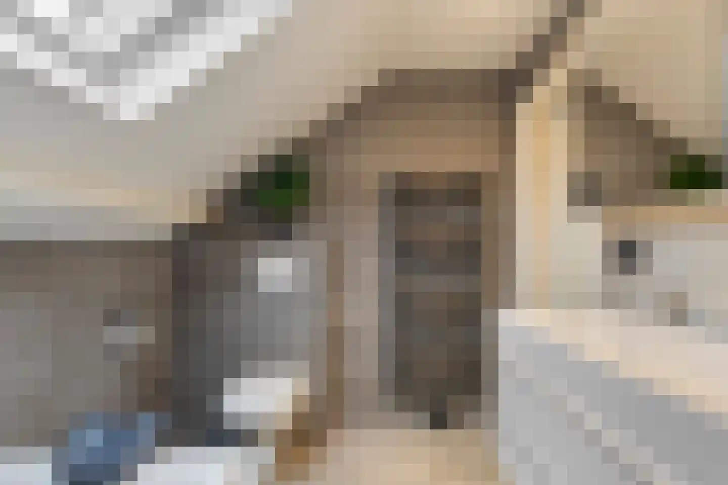 Nieuwstraat 126 Koewacht thumbnail 19