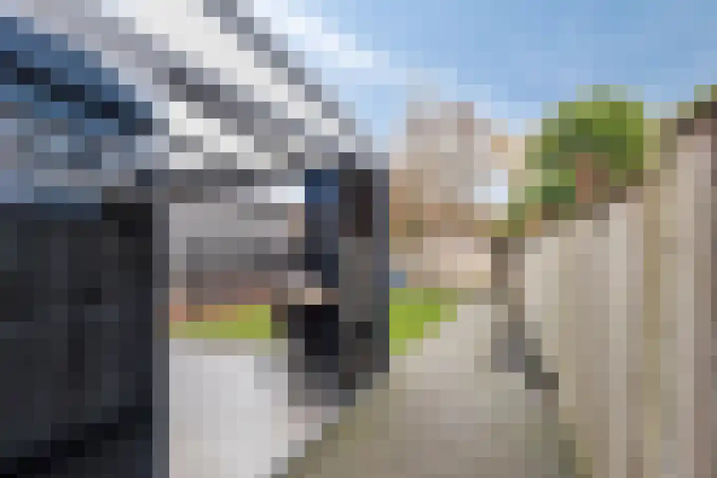 Nieuwstraat 126 Koewacht thumbnail 24