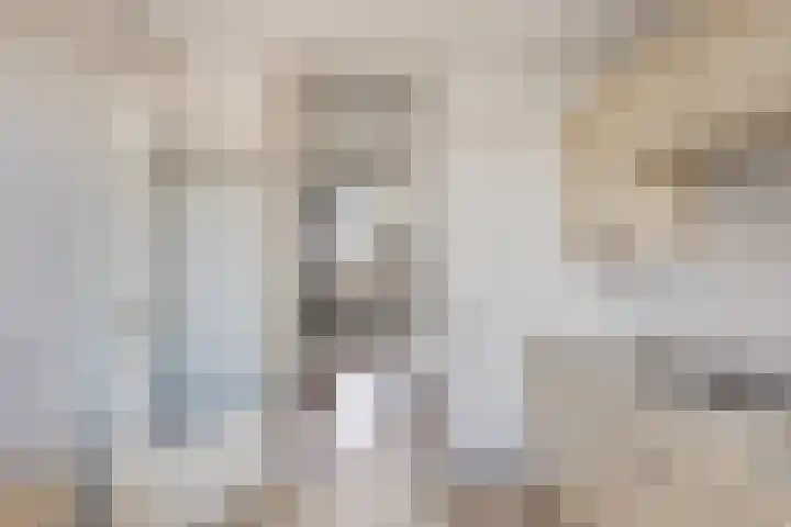 Nieuwstraat 127 Spijkenisse thumbnail 19