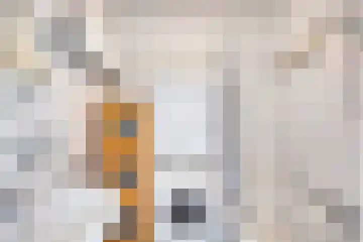 Nieuwstraat 127 Spijkenisse thumbnail 23