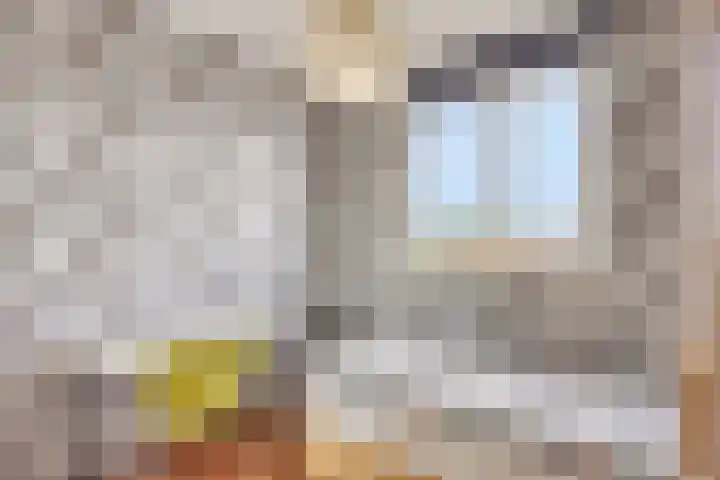Nieuwstraat 127 Spijkenisse thumbnail 25
