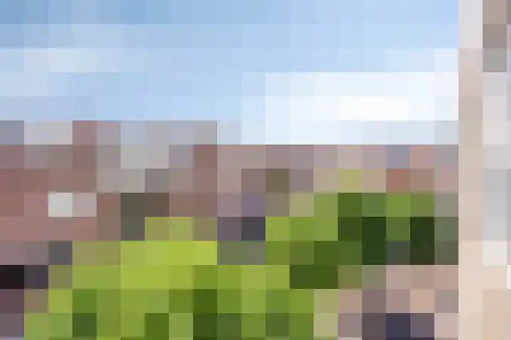 Nieuwstraat 127 Spijkenisse thumbnail 4