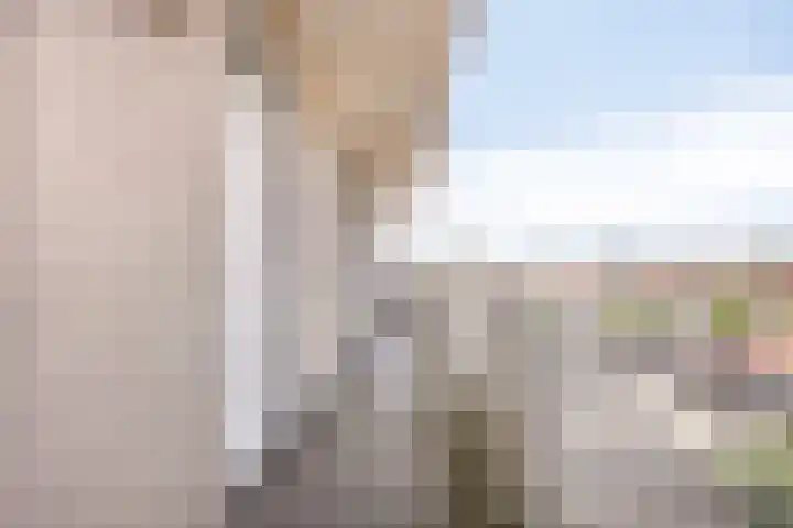 Nieuwstraat 127 Spijkenisse thumbnail 9