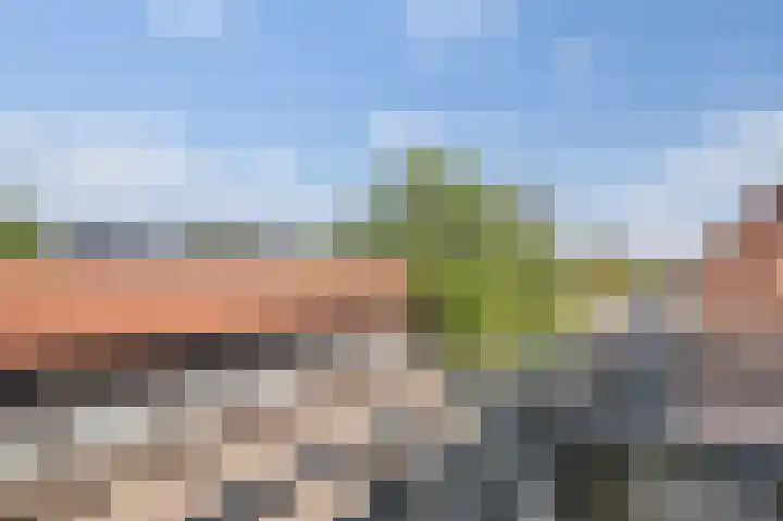 Nieuwstraat 127 Zwolle thumbnail 17