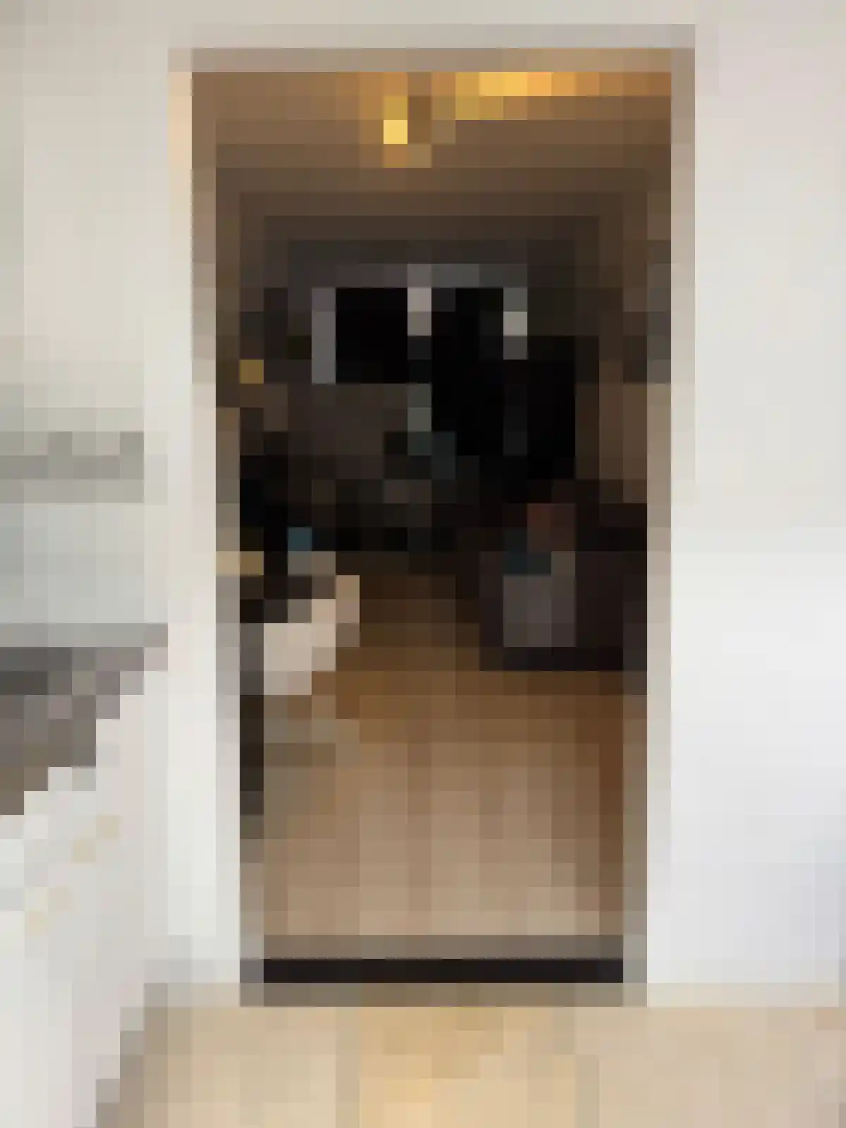 Nieuwstraat 128 Tilburg thumbnail 4
