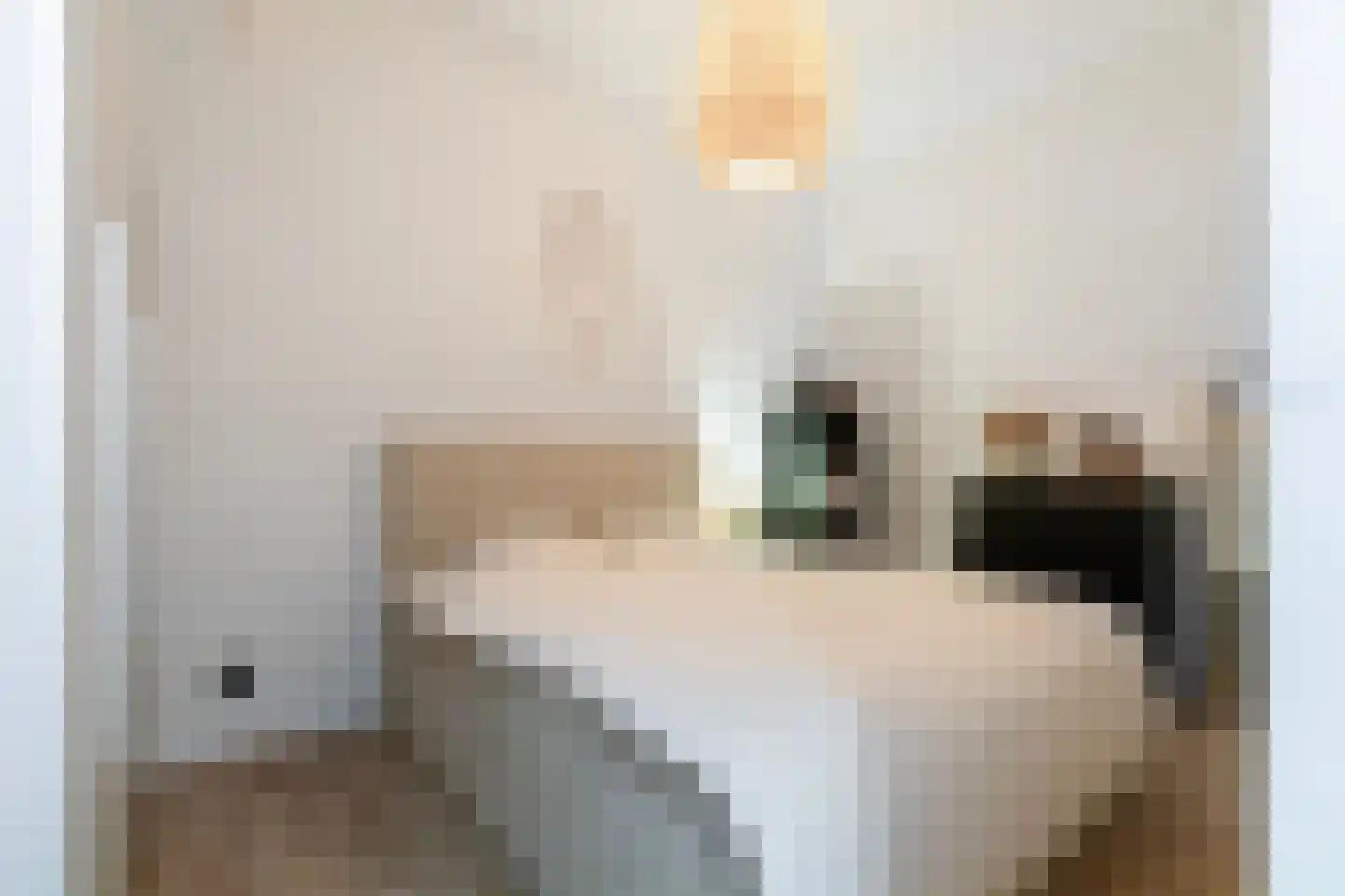 Nieuwstraat 13 B Apeldoorn thumbnail 9