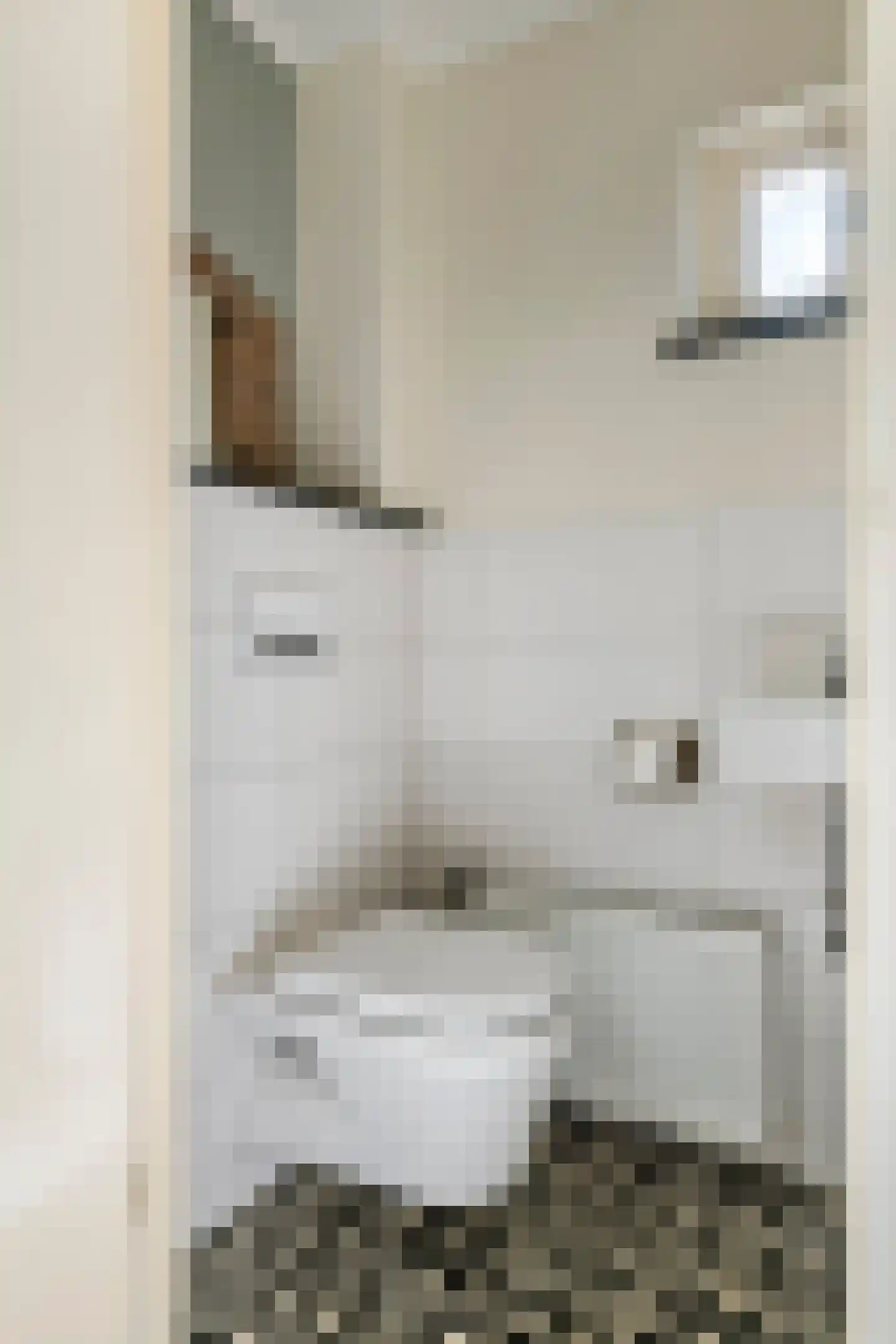 Nieuwstraat 13 Dreumel thumbnail 16