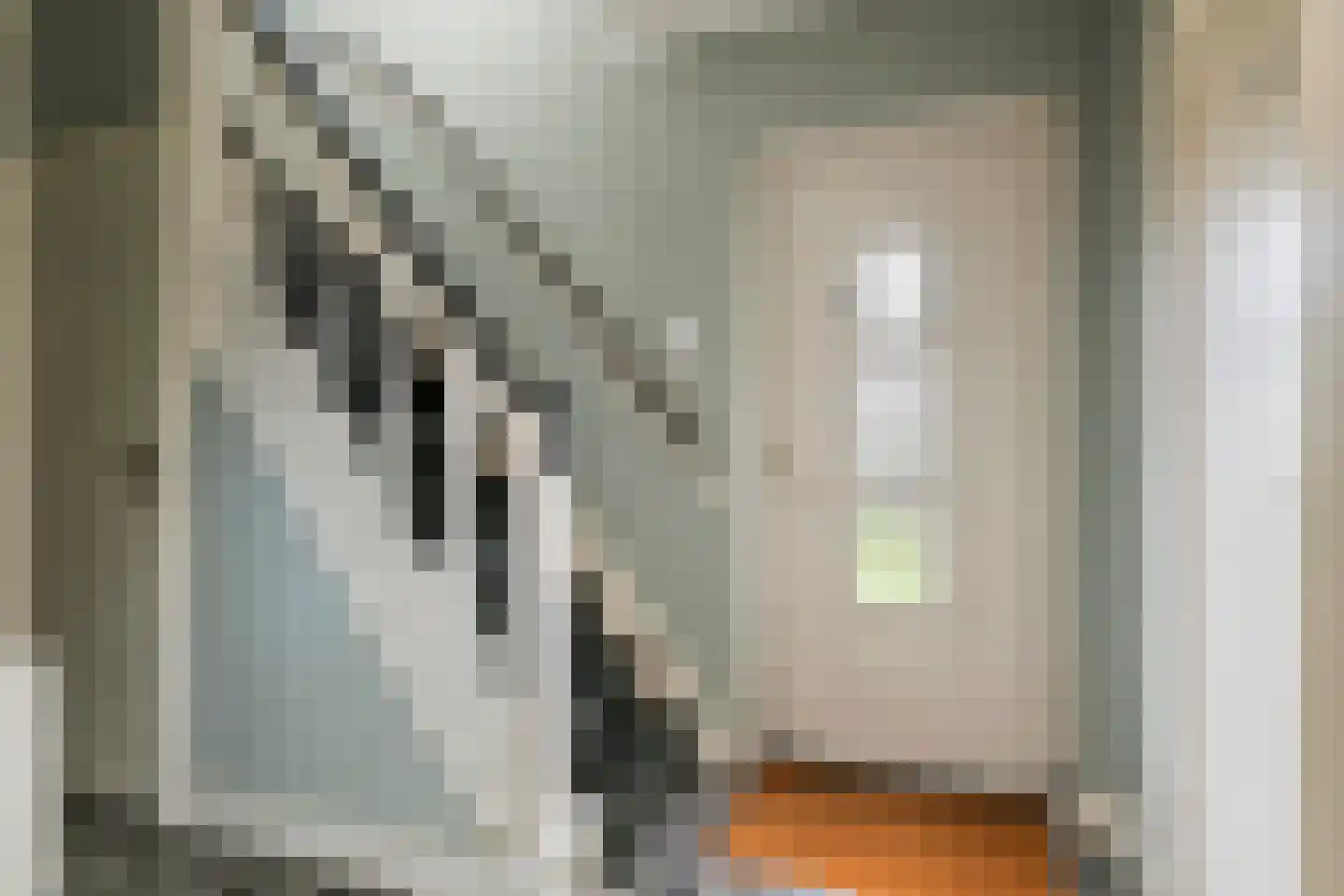 Nieuwstraat 13 Dreumel thumbnail 17