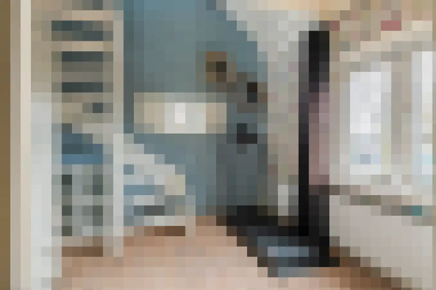 Nieuwstraat 13 Dreumel thumbnail 24