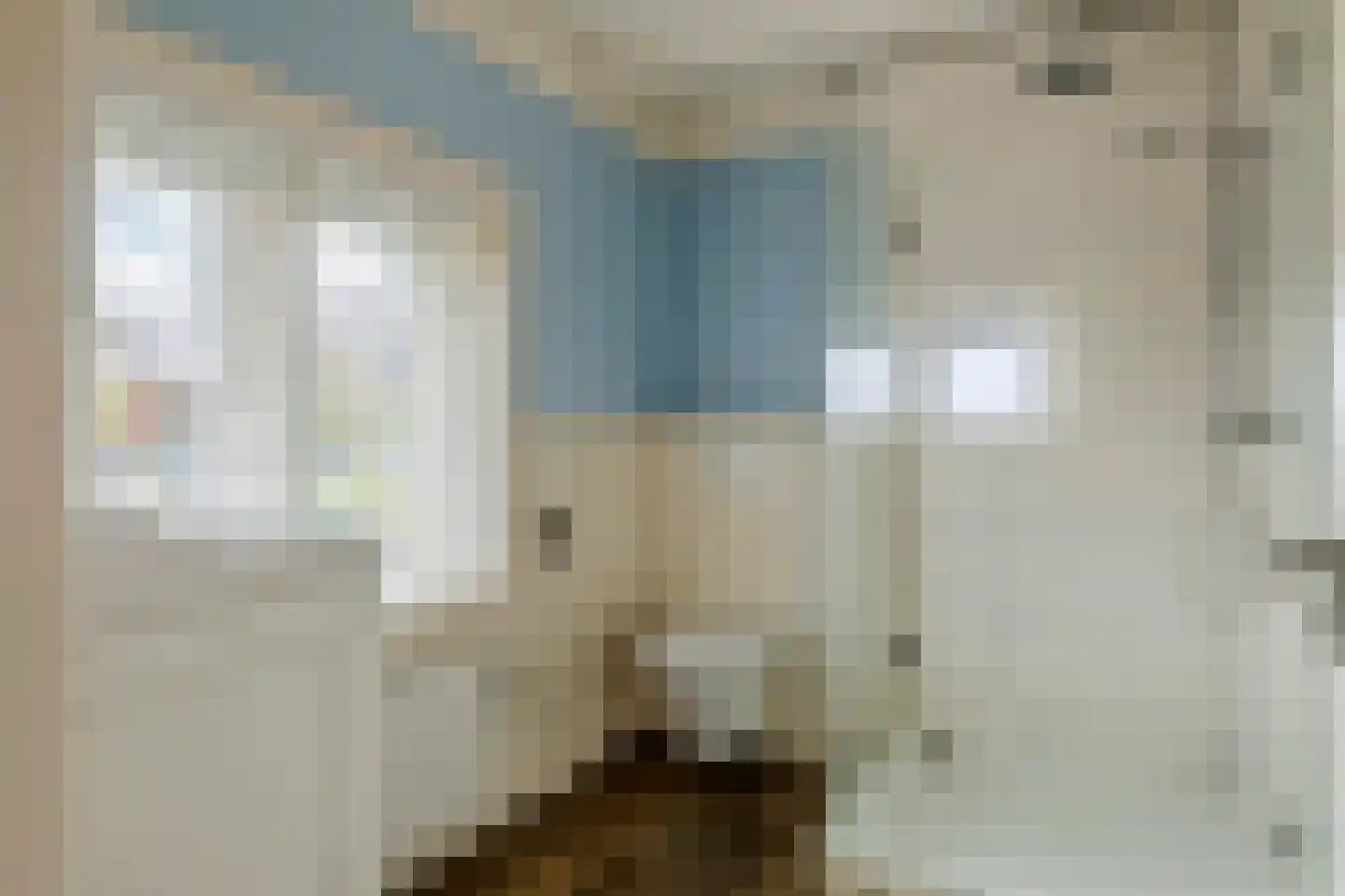 Nieuwstraat 13 Dreumel thumbnail 25