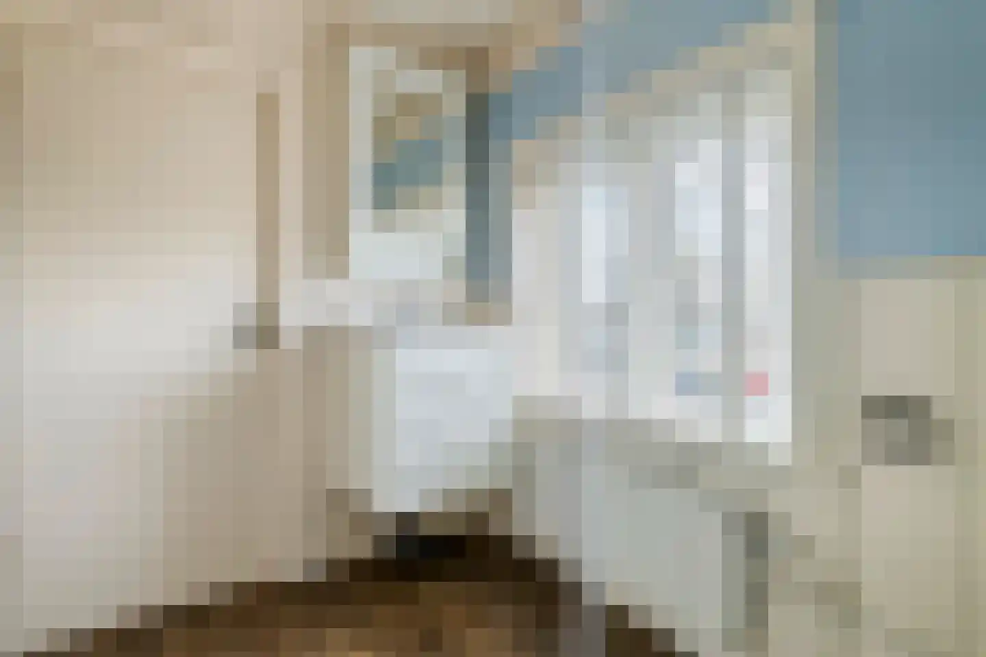 Nieuwstraat 13 Dreumel thumbnail 26