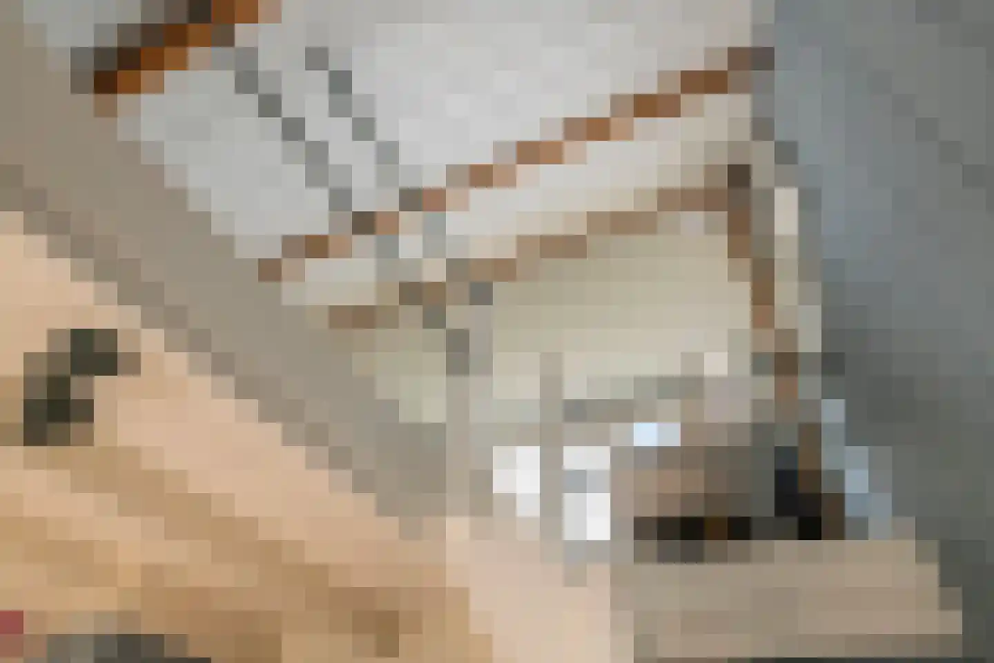 Nieuwstraat 13 Dreumel thumbnail 28