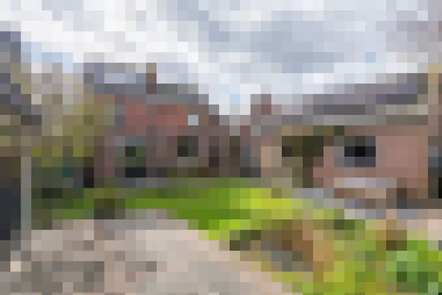 Nieuwstraat 13 Dreumel thumbnail 33