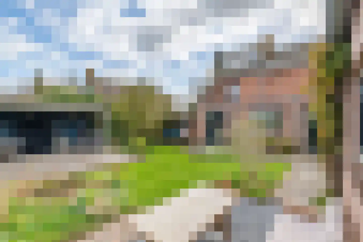 Nieuwstraat 13 Dreumel thumbnail 34