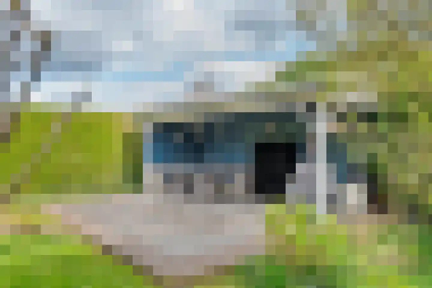 Nieuwstraat 13 Dreumel thumbnail 37
