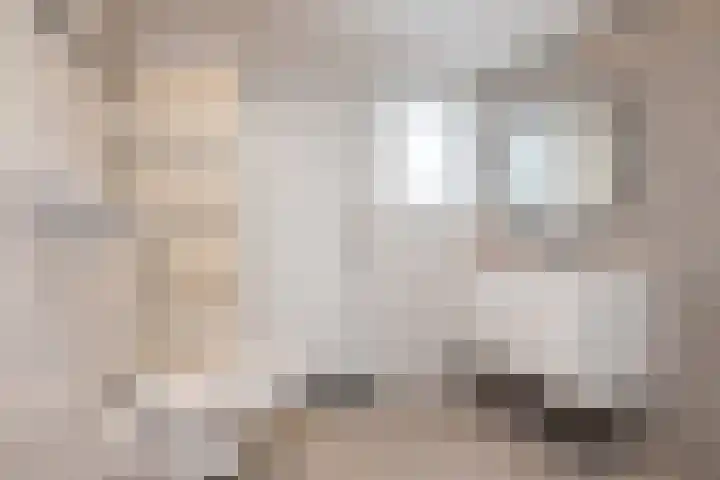 Nieuwstraat 13 Gulpen thumbnail 23