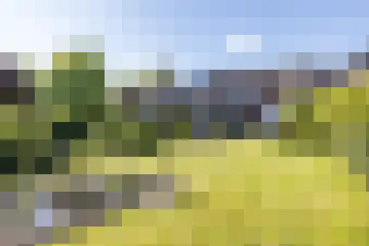Nieuwstraat 13 Gulpen thumbnail 35