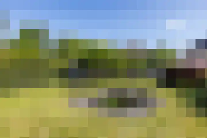 Nieuwstraat 13 Gulpen thumbnail 39
