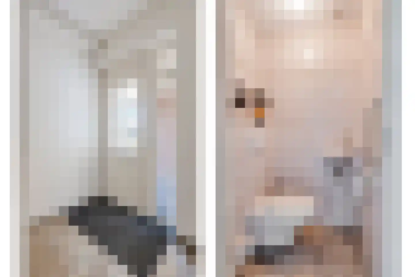 Nieuwstraat 13 Roelofarendsveen thumbnail 14