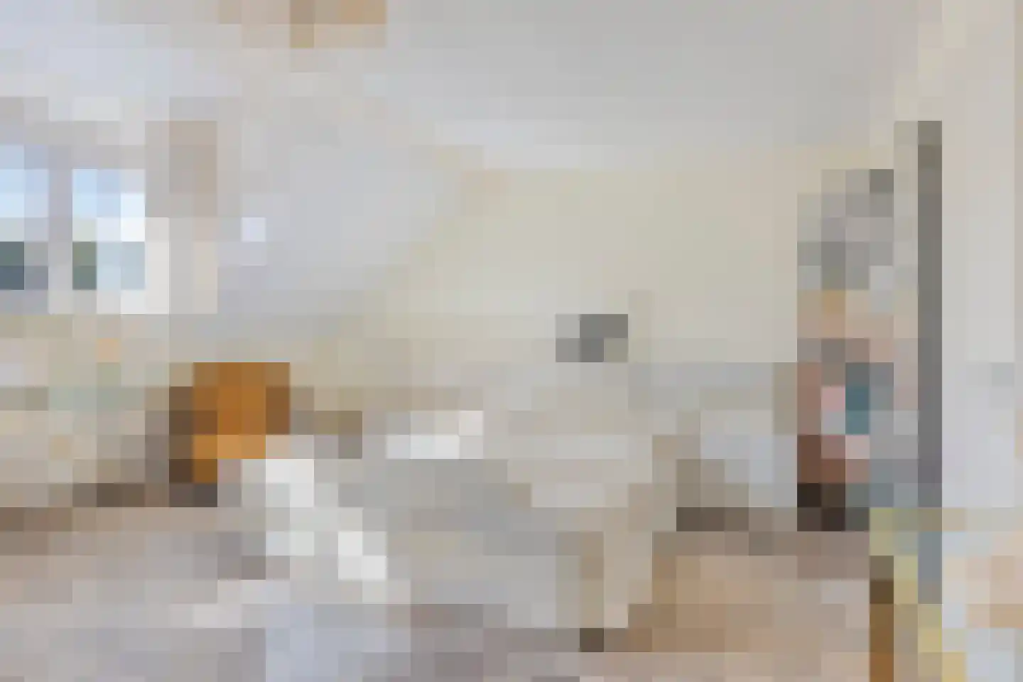 Nieuwstraat 13 Roelofarendsveen thumbnail 16