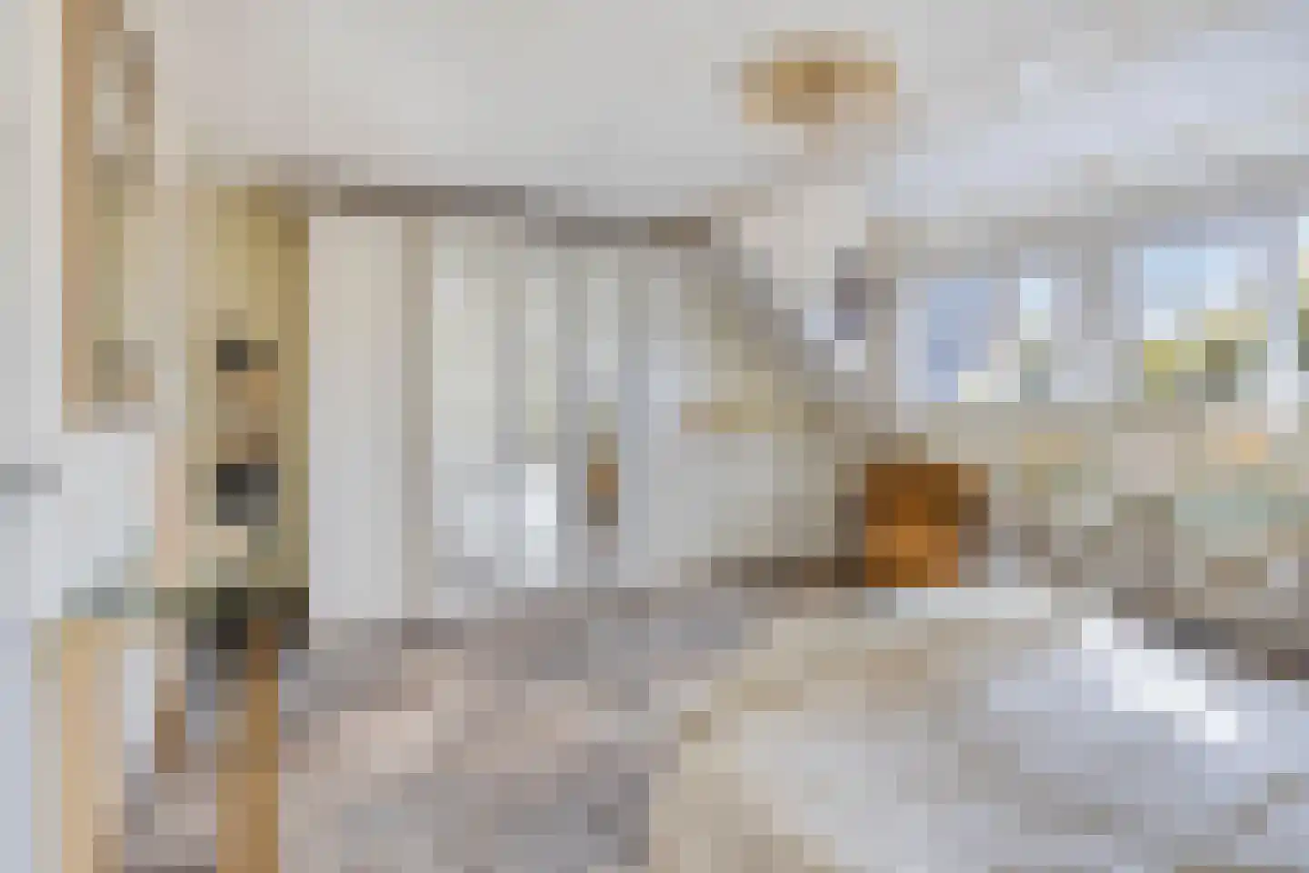 Nieuwstraat 13 Roelofarendsveen thumbnail 17