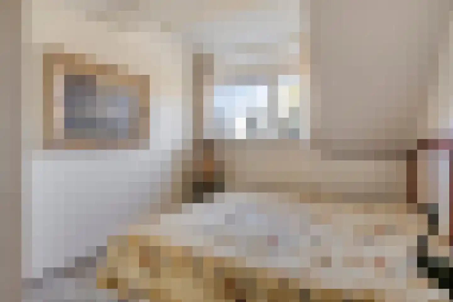 Nieuwstraat 13 Roelofarendsveen thumbnail 20
