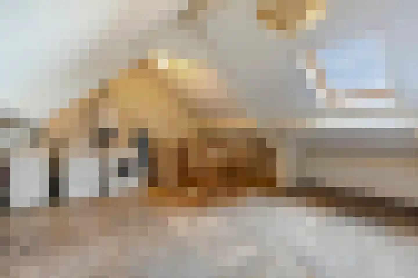 Nieuwstraat 13 Roelofarendsveen thumbnail 23