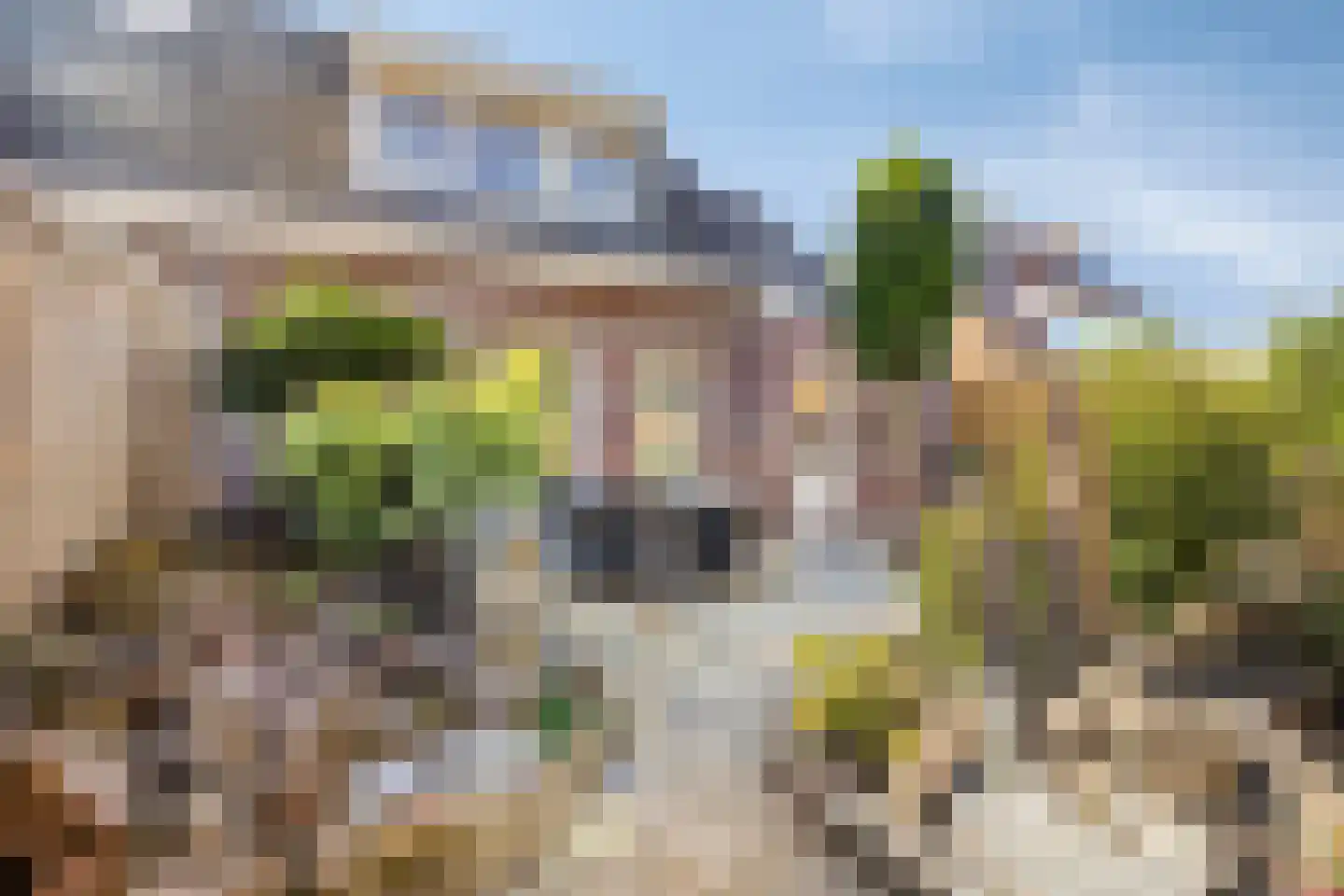 Nieuwstraat 13 Roelofarendsveen thumbnail 25