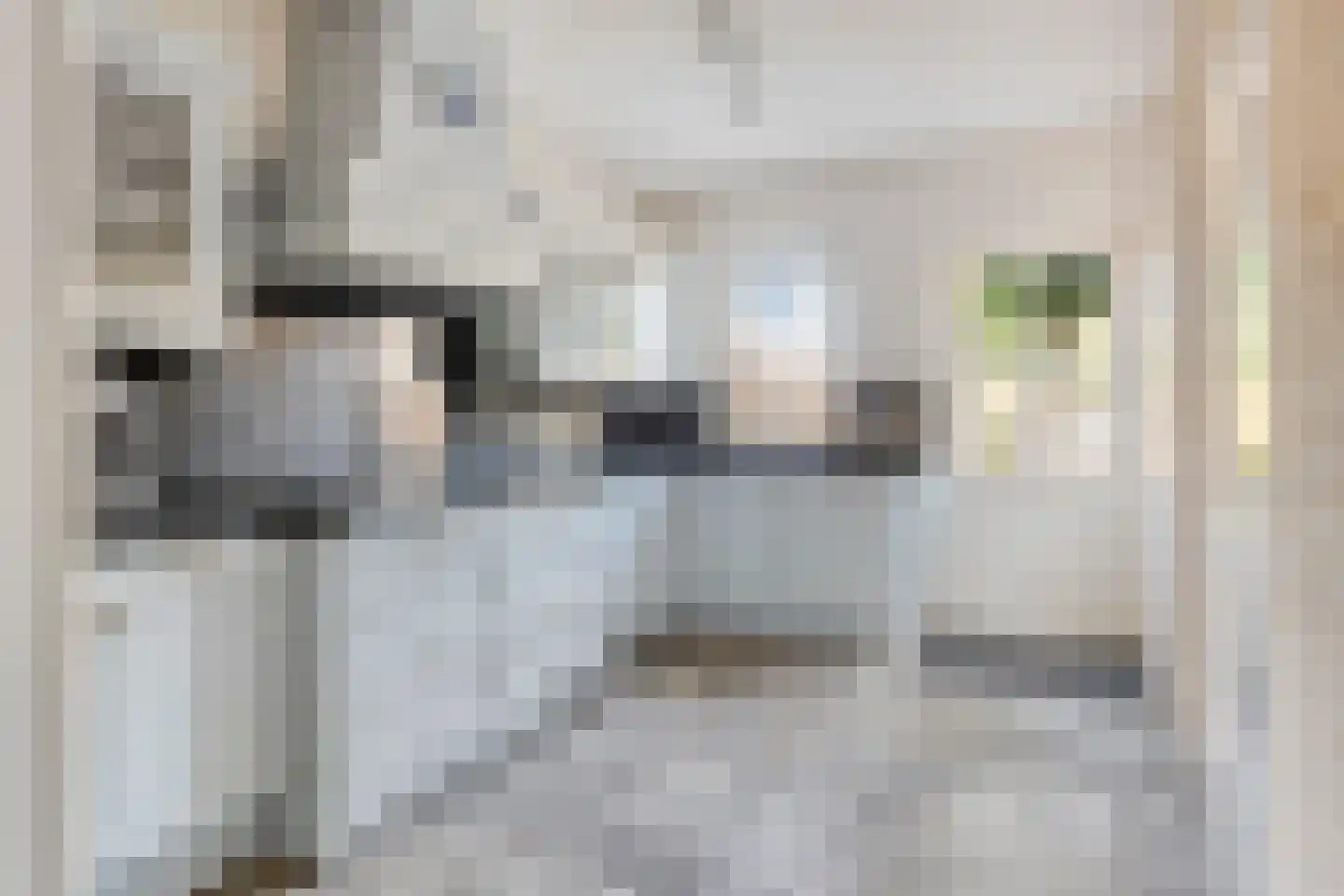 Nieuwstraat 13 Roelofarendsveen thumbnail 4