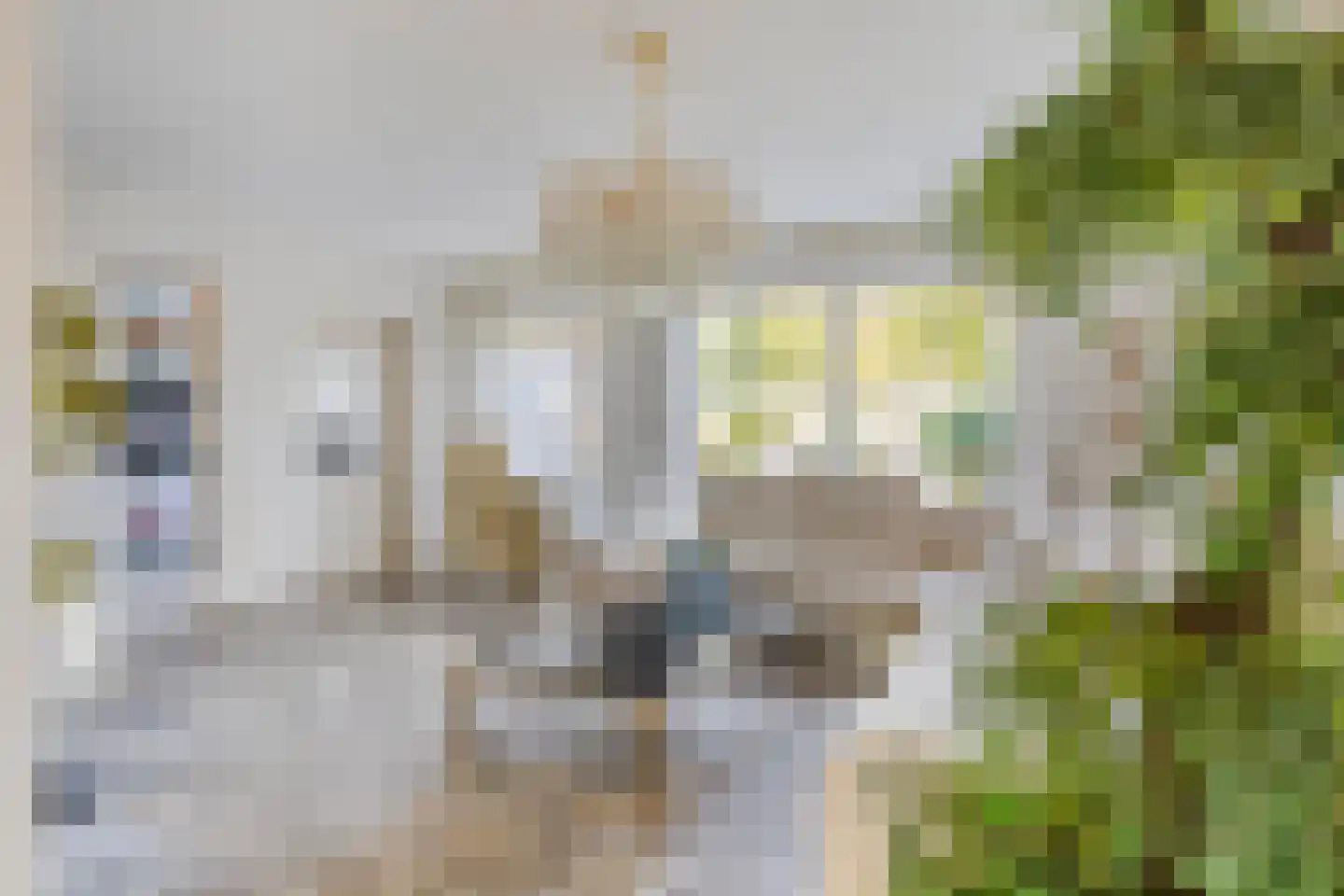 Nieuwstraat 13 Roelofarendsveen thumbnail 7