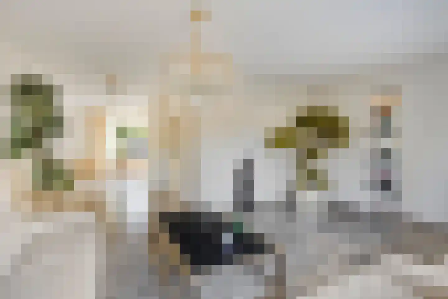 Nieuwstraat 13 Roelofarendsveen thumbnail 8