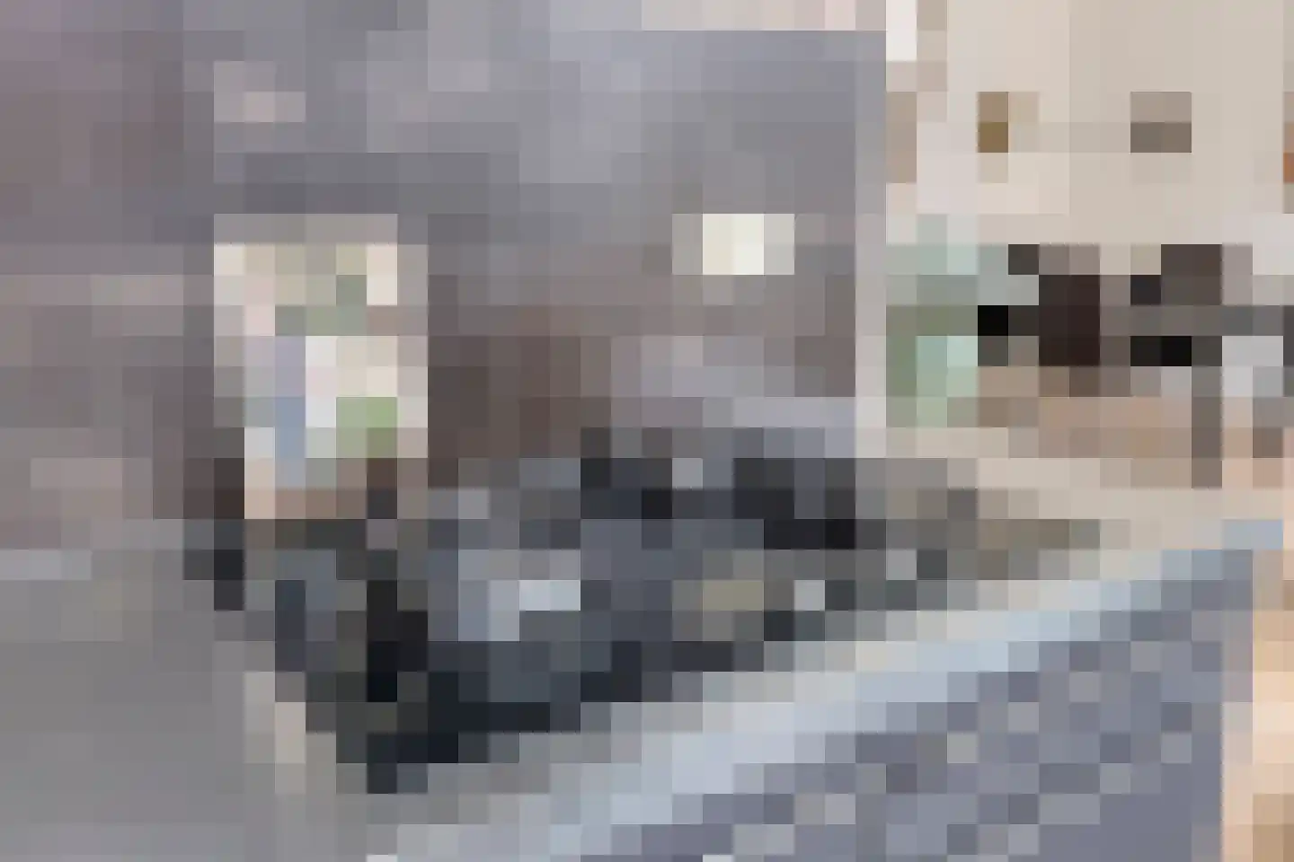 Nieuwstraat 130 Deventer thumbnail 21