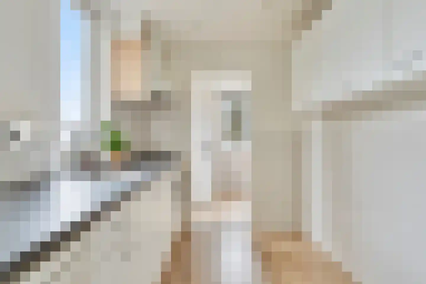 Nieuwstraat 132 Tilburg thumbnail 12